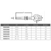 Fni Aisi 316 Ring Bolt