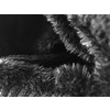 Hotspot Design Black Beanie Hsd With Fur