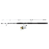 Mitchell Tanager Sw Boat Spinning Combo